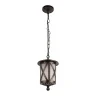 Уличный подвесной светильник Loft it Ravenna 100016P