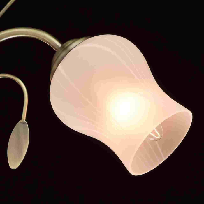 Люстра Флора MW-LIGHT 256018205