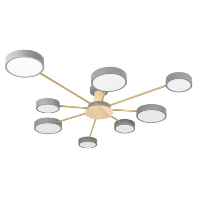 Потолочный светильник Loft it Sunrise 10316/8 Grey