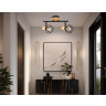 Настенно-потолочный спот TRADITIONAL AMBRELLA LIGHT TR8752