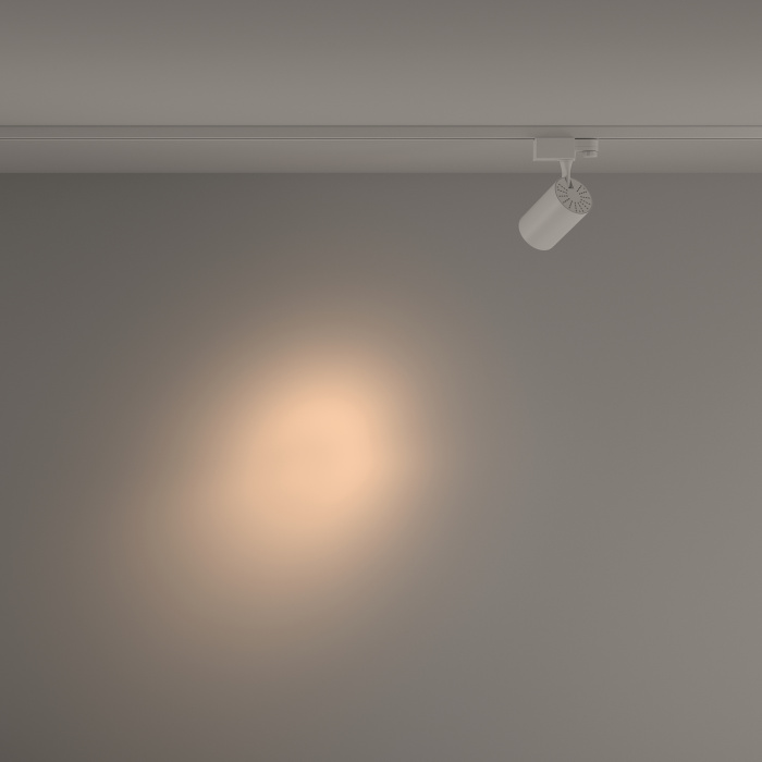 Трековый светильник Maytoni Vuoro TR029-3-10W3K-S-W