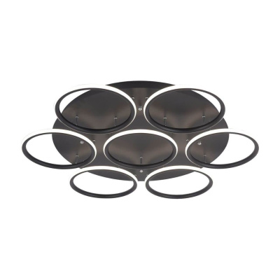 Потолочный светильник Arte Lamp A2500PL-7BK