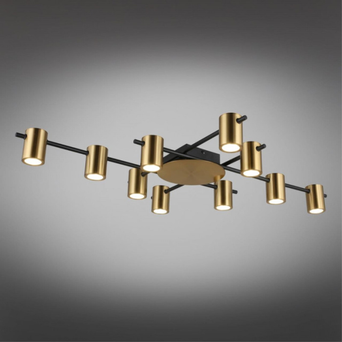 Люстра потолочная Aployt Elwisia APL.633.07.10