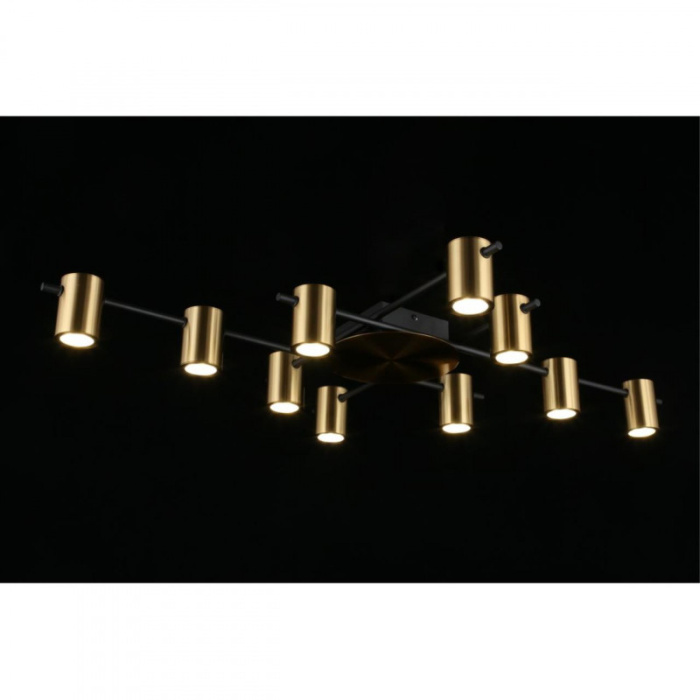 Люстра потолочная Aployt Elwisia APL.633.07.10