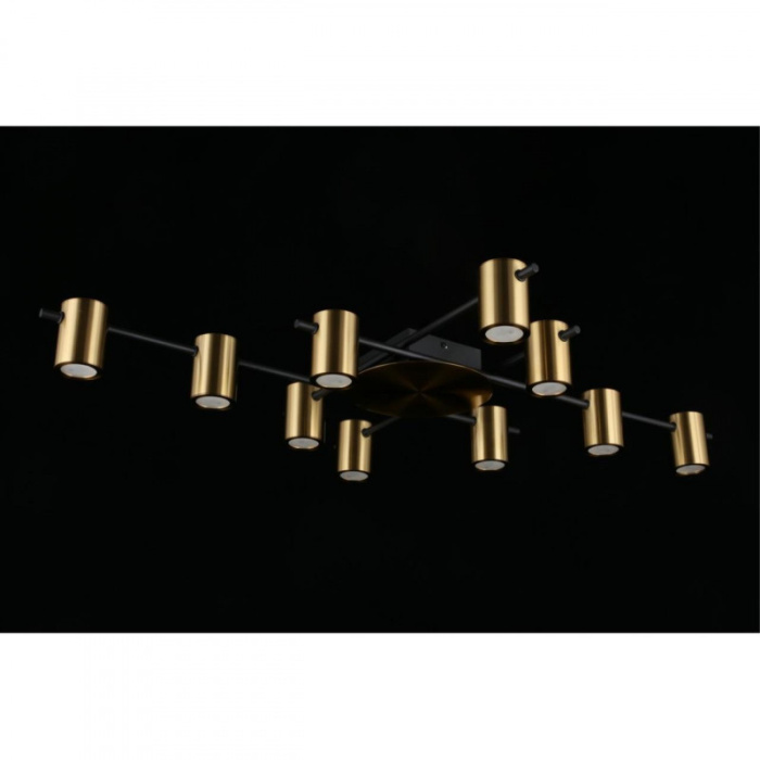 Люстра потолочная Aployt Elwisia APL.633.07.10