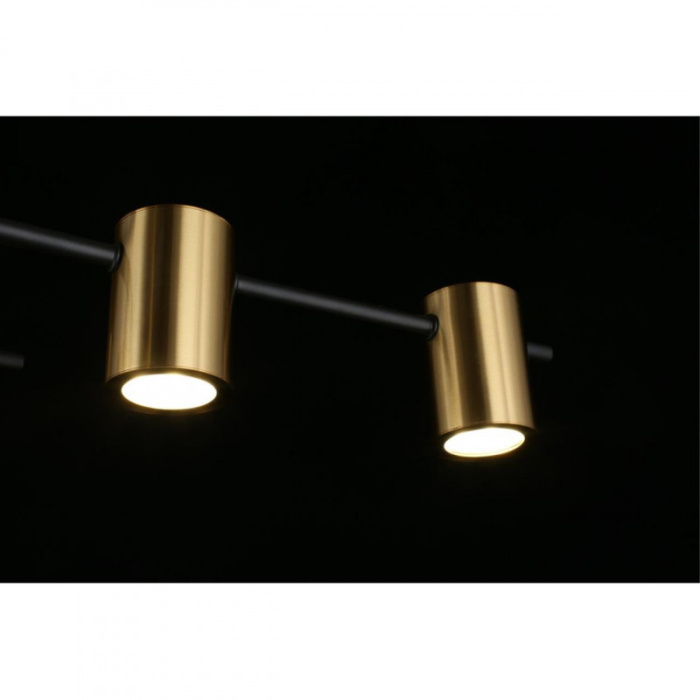 Люстра потолочная Aployt Elwisia APL.633.07.10