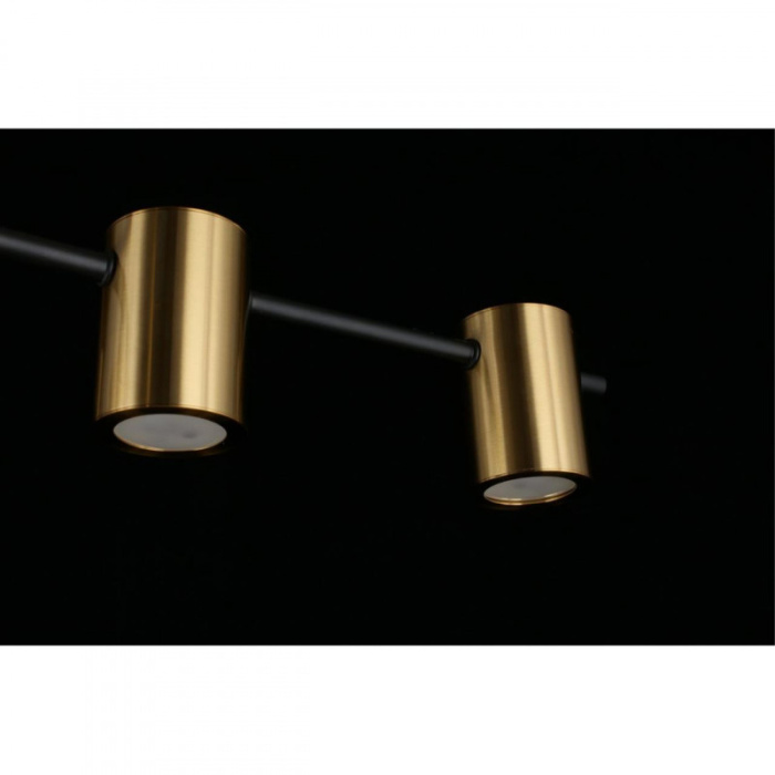 Люстра потолочная Aployt Elwisia APL.633.07.10