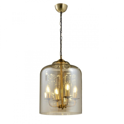 Светильник подвесной Aployt Polin APL.603.06.06