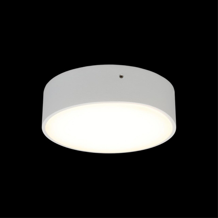 Светильник настенно-потолочный Aployt Evon APL.0113.09.12