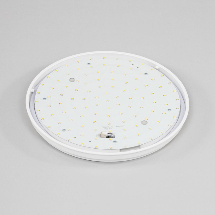 Светильник потолочный Citilux Луна CL702161N