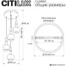 Подвесной светильник Citilux Lass CL249021
