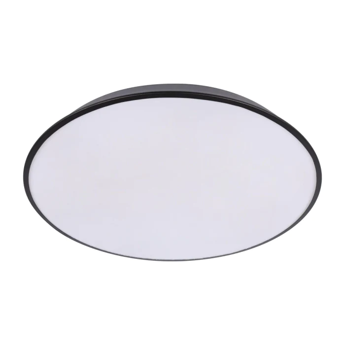 Потолочный светильник LOFT IT Brim 10226 Black