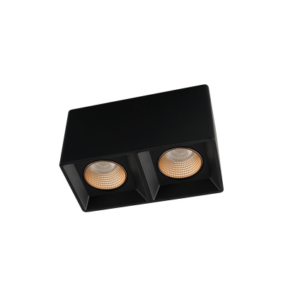 Накладной светильник Denkirs Rodvig DK3085-BK+BR