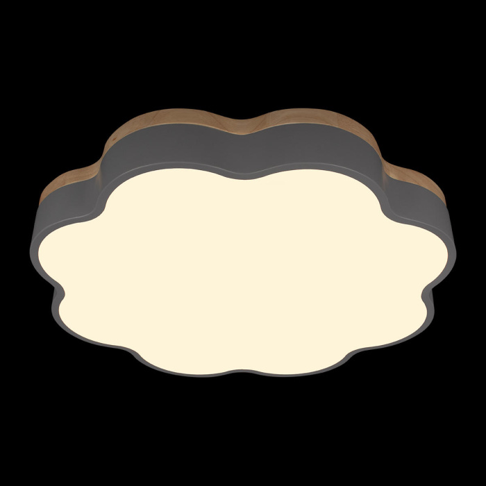 Потолочный светильник Loft it Axel 10225/36 Grey