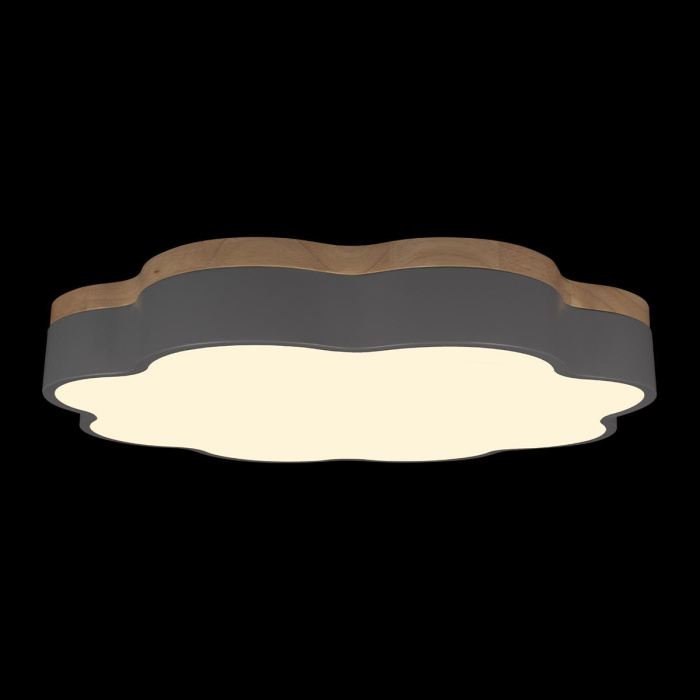 Потолочный светильник Loft it Axel 10225/36 Grey