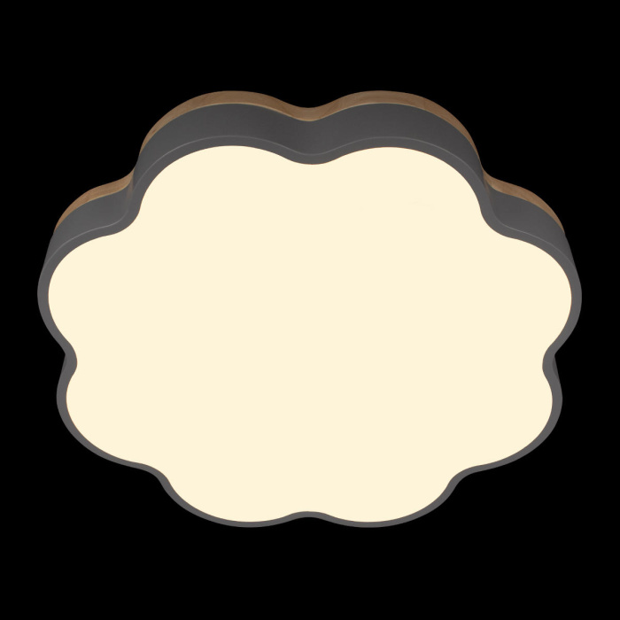 Потолочный светильник Loft it Axel 10225/36 Grey