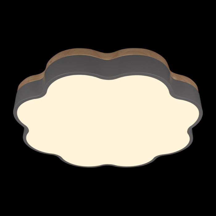 Потолочный светильник Loft it Axel 10225/36 Grey