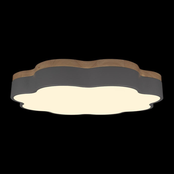 Потолочный светильник Loft it Axel 10225/36 Grey