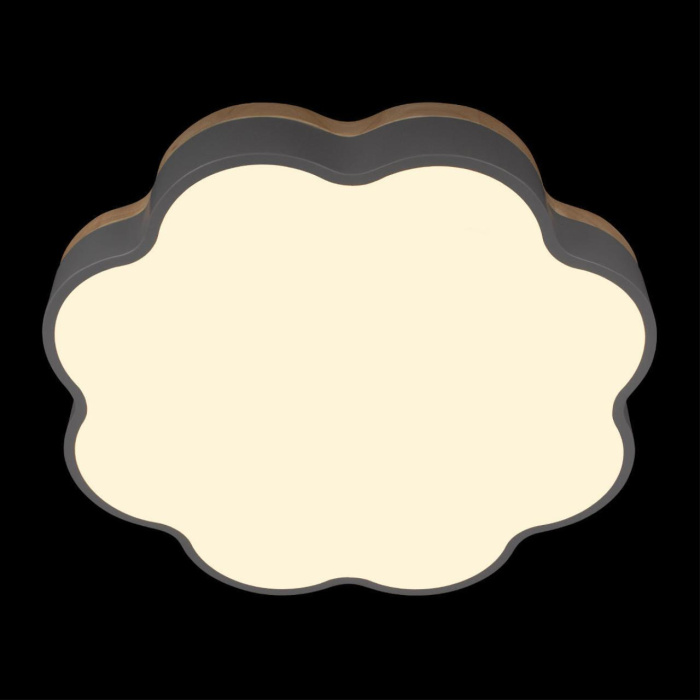 Потолочный светильник Loft it Axel 10225/36 Grey