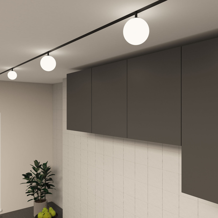 Светильник на шине Denkirs SMART MOON DK8051-BK