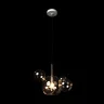 Подвесной светильник Loft it Bolle 2027-P6 mini