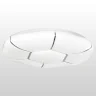 Потолочный светодиодный светильник Lussole Moonlight LSP-8470