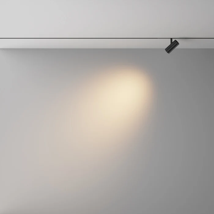 Трековый магнитный светильник Maytoni Technical Focus Led Exility X TR243-4-5WTW-DSZ-B