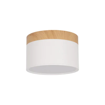 Накладной светильник LOFT IT 10162 White