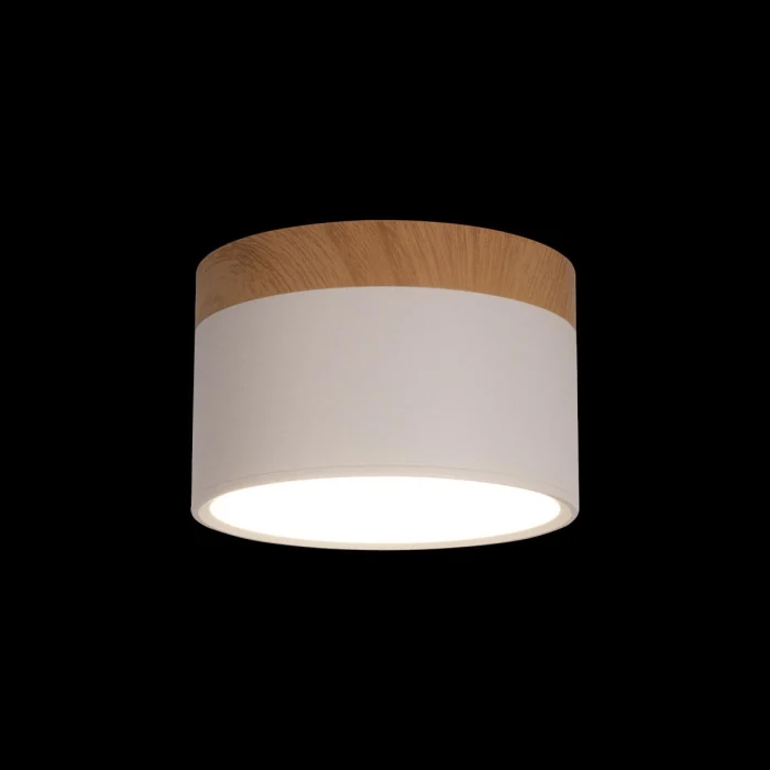 Накладной светильник LOFT IT 10162 White