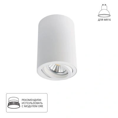 Потолочный светильник Arte Lamp A1560PL-1WH