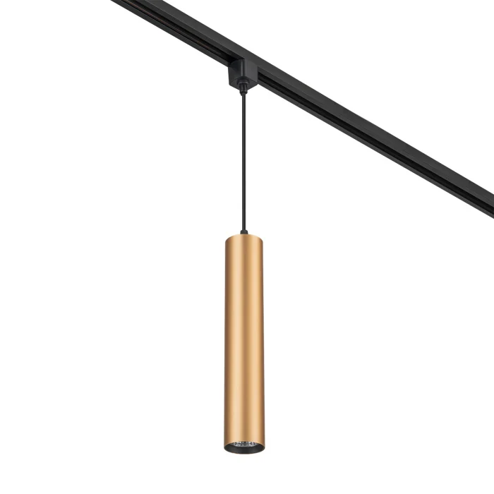 Трековый светильник 20001 ESCADA 20001TRP/01 BR