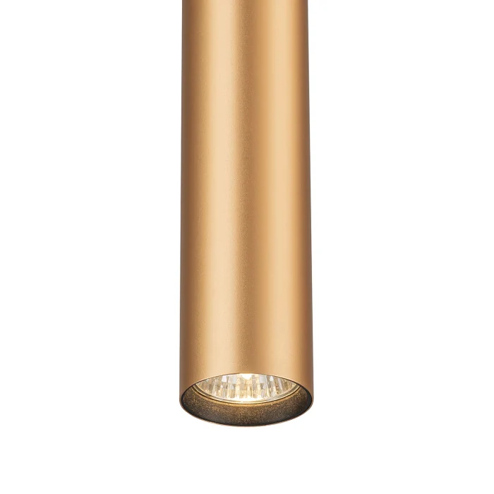 Трековый светильник 20001 ESCADA 20001TRP/01 BR