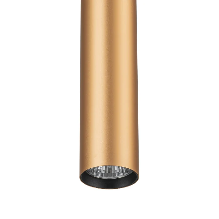 Трековый светильник 20001 ESCADA 20001TRP/01 BR