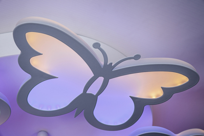 Потолочный светильник BUTTERFLY ESCADA 10205/5LED