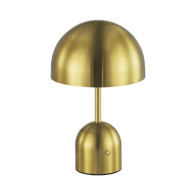 Настольный светильник evoluce ECLAT SLE1806-204-01