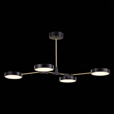 Потолочный светильник evoluce MONTA SLE6004-402-04