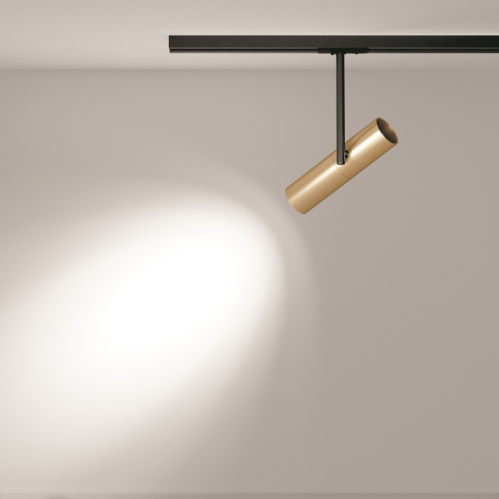 Трековый светильник Maytoni Elti TR005-1-GU10-BG