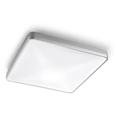 Потолочный светильник Leds C4 RAS 15-4688-S2-M1