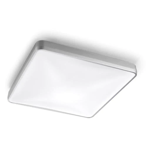 Потолочный светильник Leds C4 RAS 15-4688-S2-M1