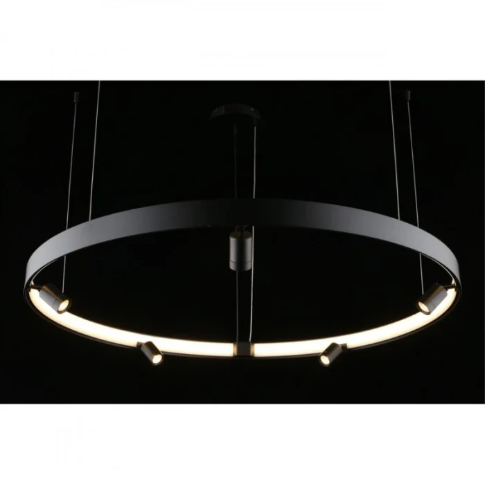 Подвесной светодиодный светильник Aployt Jolanta APL.041.13.75