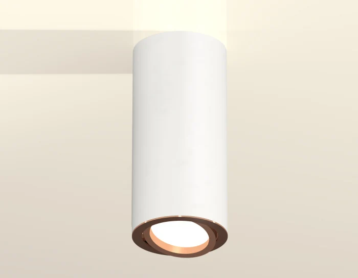 Комплект накладного поворотного светильника Ambrella light XS7442005