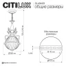 Подвесной светильник Citilux Идальго CL434121