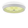 Потолочный светильник Freya Cells FR10012CL-L24W