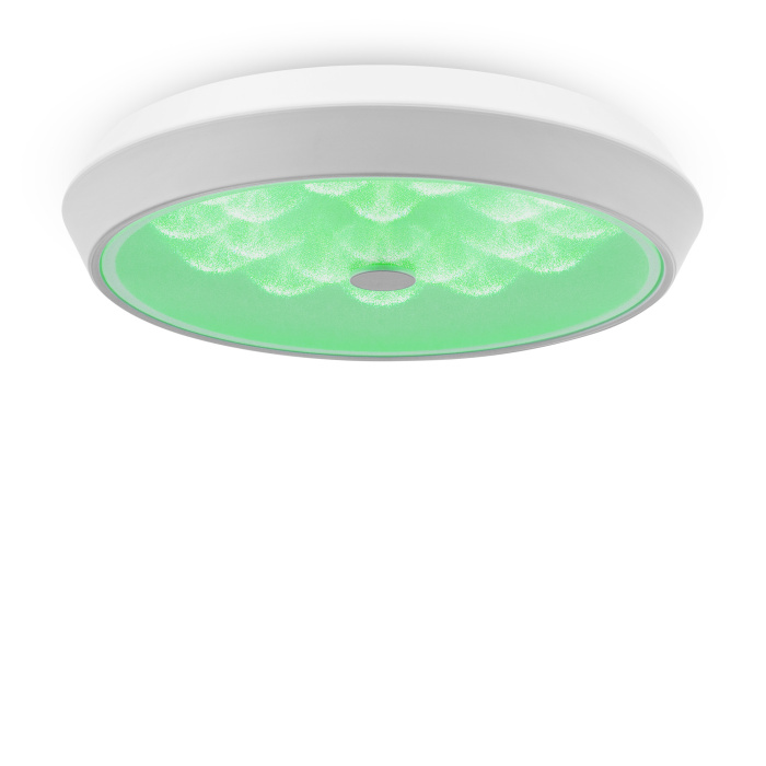 Потолочный светильник Freya Cells FR10012CL-L24W