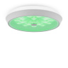 Потолочный светильник Freya Cells FR10012CL-L24W