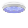 Потолочный светильник Freya Cells FR10012CL-L24W