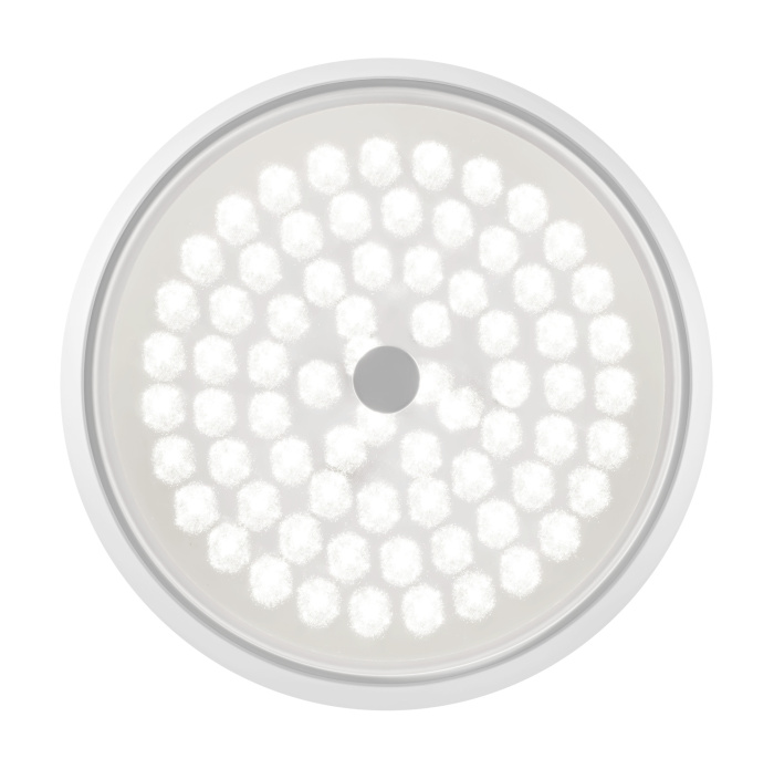 Потолочный светильник Freya Cells FR10012CL-L24W