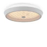 Потолочный светильник Freya Cells FR10012CL-L24W