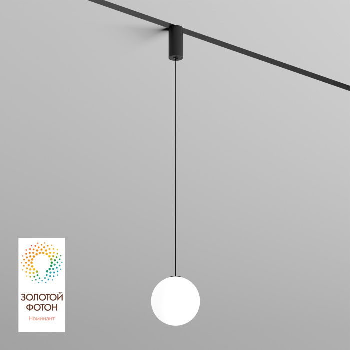 Светильник на шине Denkirs SMART MOON DK8052-BK