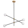 Потолочная люстра L'Arte Luce Luxury Bullarum L25604